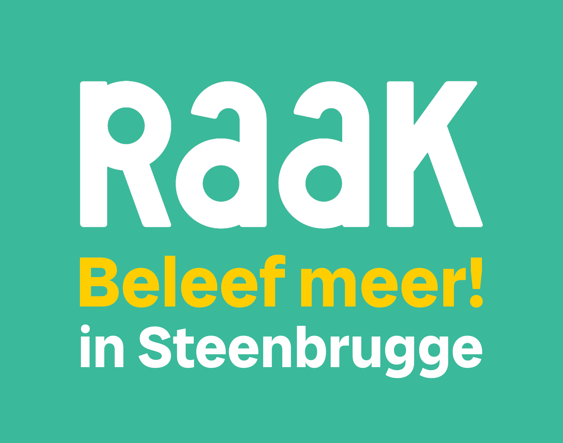 Raak Steenbrugge